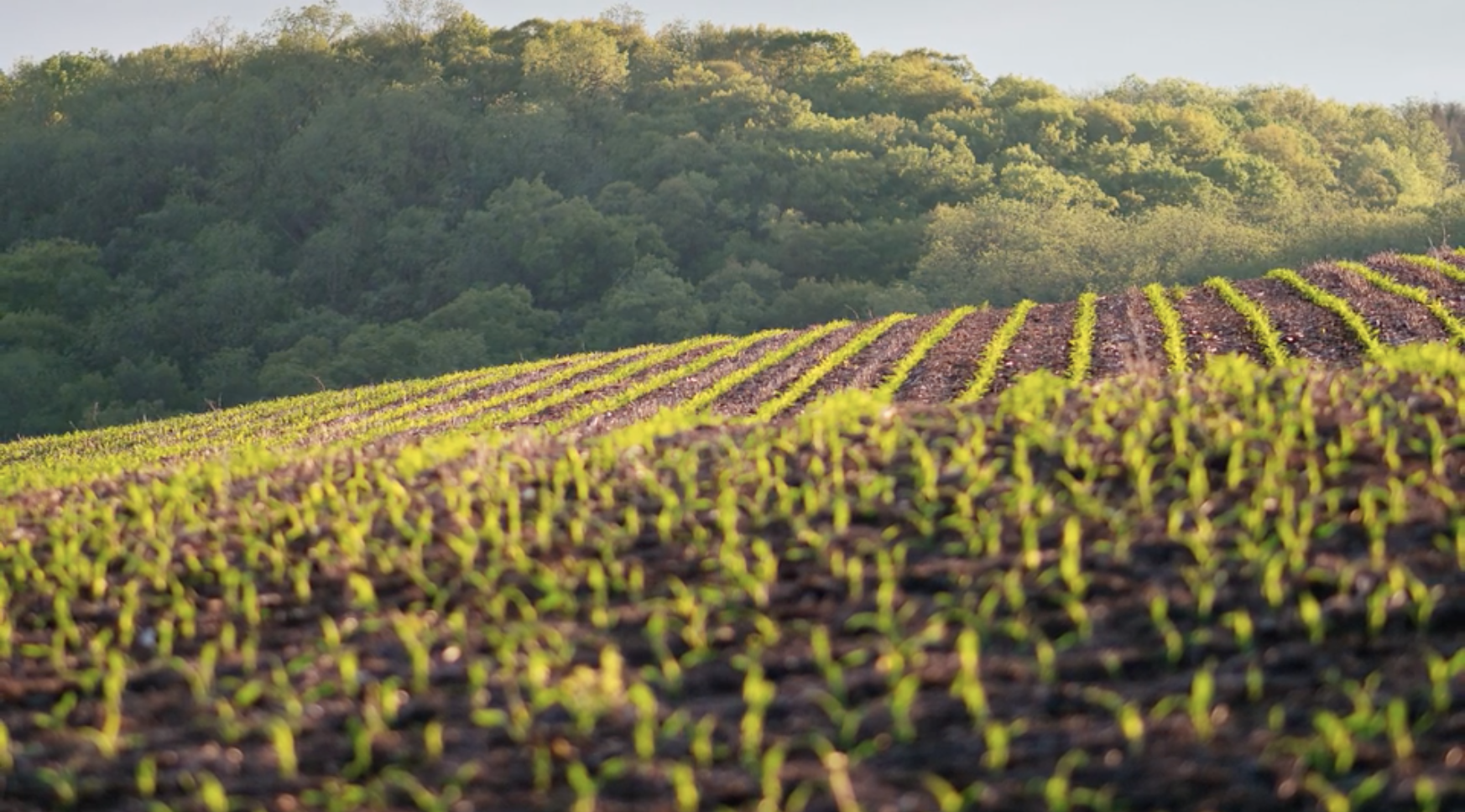 Cargill Expertise Center