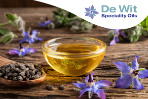SPONSORED CONTENT How can formulators create the perfect Omega-3 and Omega-6 balance? [Download]